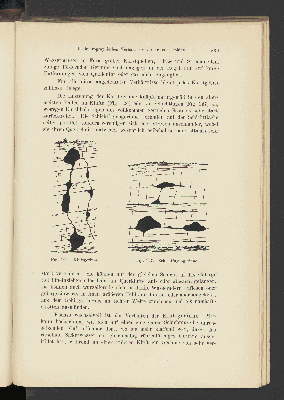 Vorschaubild Seite 239