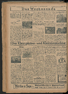 Vorschaubild Seite  - 