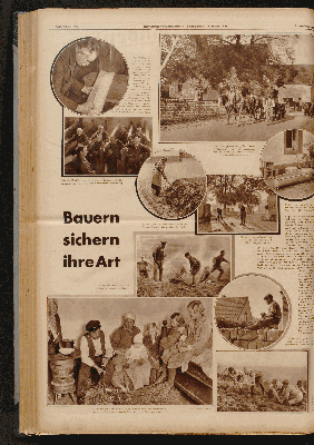 Vorschaubild Seite  - 