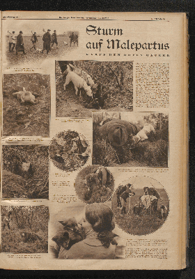 Vorschaubild Seite  - 
