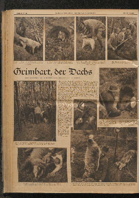 Vorschaubild Seite  - 