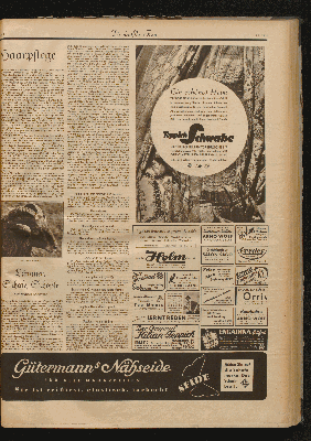 Vorschaubild Seite  - 