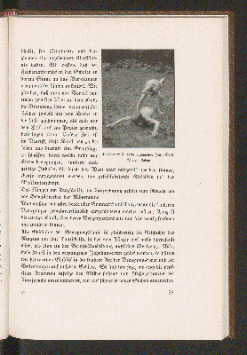 Vorschaubild Seite 35