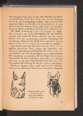 Vorschaubild Seite 17