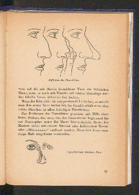 Vorschaubild Seite 45