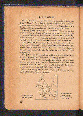Vorschaubild Seite 62