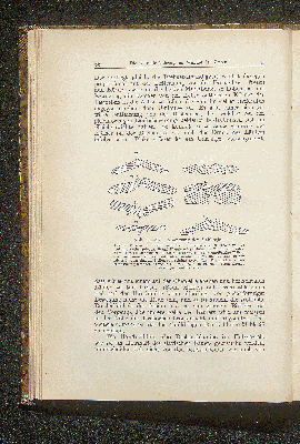 Vorschaubild Seite 66