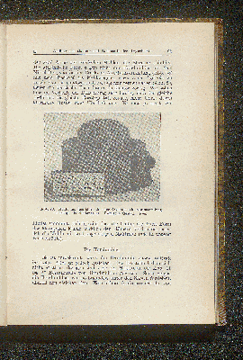 Vorschaubild Seite 67