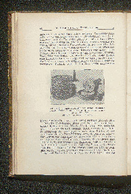 Vorschaubild Seite 68