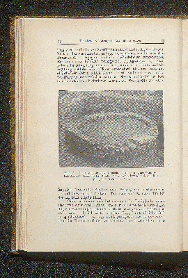Vorschaubild Seite 86
