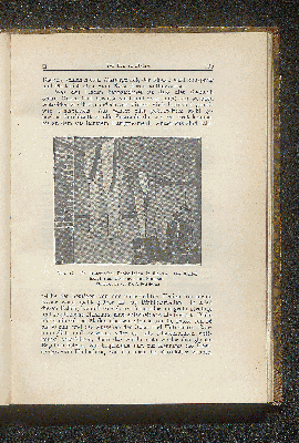 Vorschaubild Seite 105