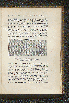 Vorschaubild Seite 121