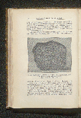 Vorschaubild Seite 122