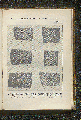 Vorschaubild Seite 163