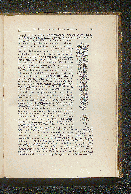 Vorschaubild Seite 165