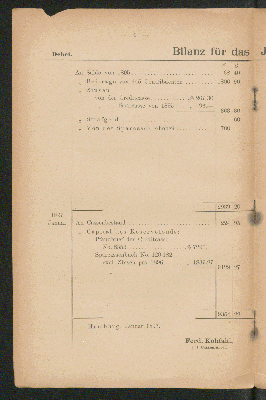 Vorschaubild von Bilanz für das Jahr 1896.