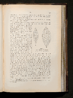 Vorschaubild von [Botanisch-mikroskopischer Teil]