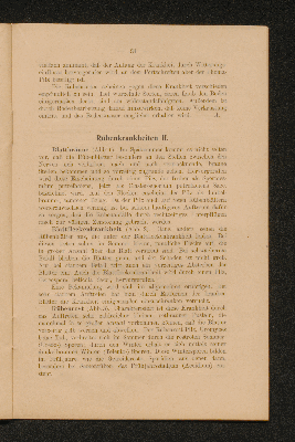 Vorschaubild Seite 31