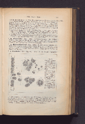 Vorschaubild Seite 169