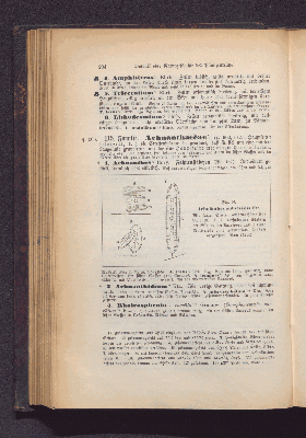 Vorschaubild Seite 204