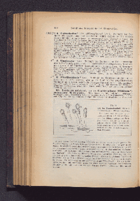 Vorschaubild Seite 352