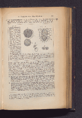 Vorschaubild Seite 591