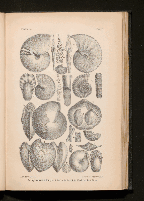 Vorschaubild von [[Lehrbuch der Geologie]]