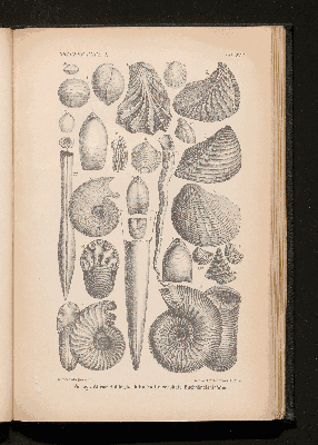 Vorschaubild von [[Lehrbuch der Geologie]]