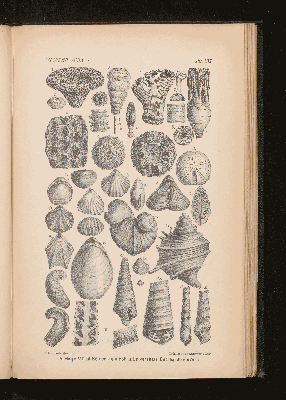 Vorschaubild von [[Lehrbuch der Geologie]]