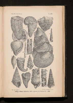 Vorschaubild von [[Lehrbuch der Geologie]]