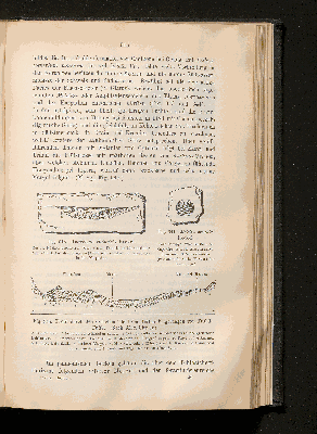 Vorschaubild von [[Lehrbuch der Geologie]]