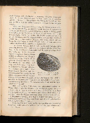 Vorschaubild von [[Lehrbuch der Geologie]]