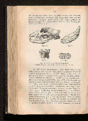 Vorschaubild von [[Lehrbuch der Geologie]]