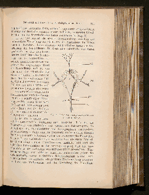 Vorschaubild Seite 151