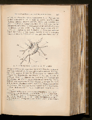 Vorschaubild Seite 153