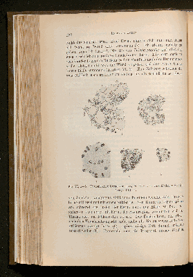 Vorschaubild Seite 182