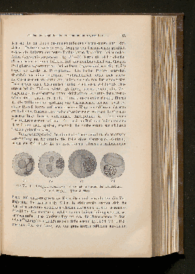 Vorschaubild Seite 125