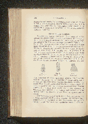 Vorschaubild Seite 204