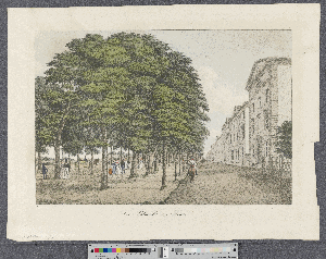 Vorschaubild von Die Palmaille in Altona
(Hamburg's Vergangenheit in bildlichen Darstellungen ; Teil III, Bl. 21)