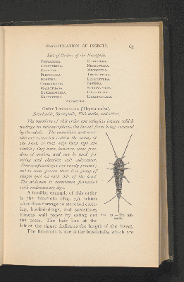 Vorschaubild von [Insect life]