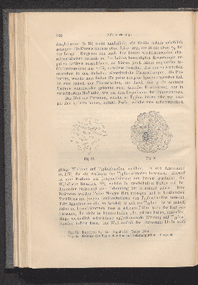 Vorschaubild von [A. de Bary's Vorlesungen über Bakterien]