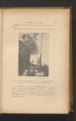 Vorschaubild von [Les plantes à caoutchouc et à gutta]