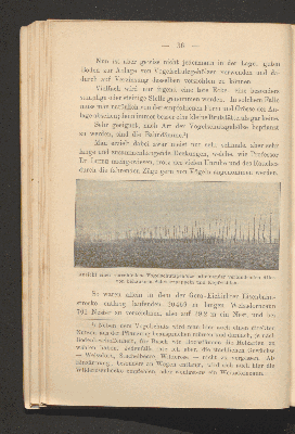 Vorschaubild von [Der gesamte Vogelschutz]