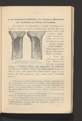 Vorschaubild von [Der gesamte Vogelschutz]