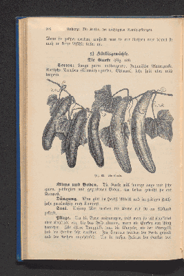 Vorschaubild von [Der Obstbau]