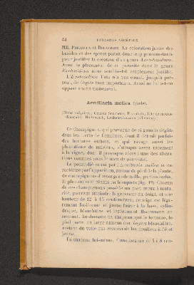 Vorschaubild von [Les maladies parasitaires de la vigne]