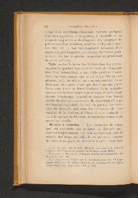 Vorschaubild von [Les maladies parasitaires de la vigne]