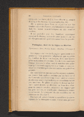 Vorschaubild von [Les maladies parasitaires de la vigne]