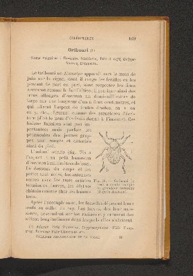 Vorschaubild von [Les maladies parasitaires de la vigne]