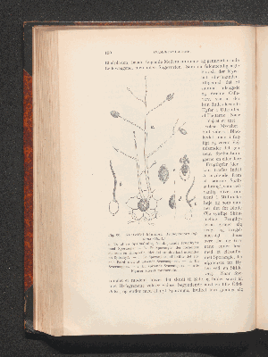 Vorschaubild von [Plantepatologi]